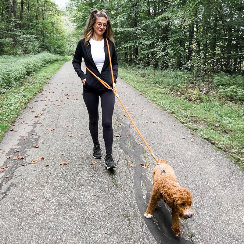 Running Gear Dog - Trela reflexiva para cães mãos livres